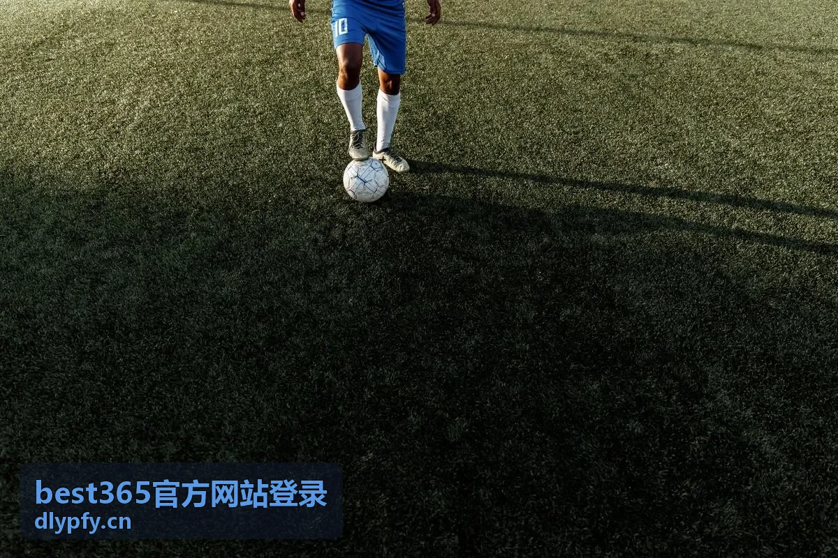 best365官方网站登录平板与折叠屏访问要点说明